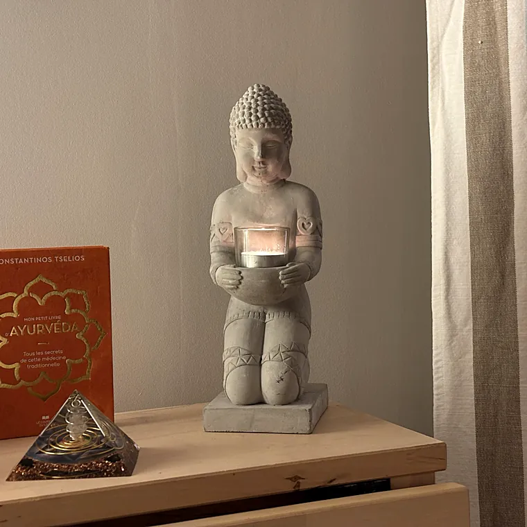 Livre d’ayurvéda et statuette
